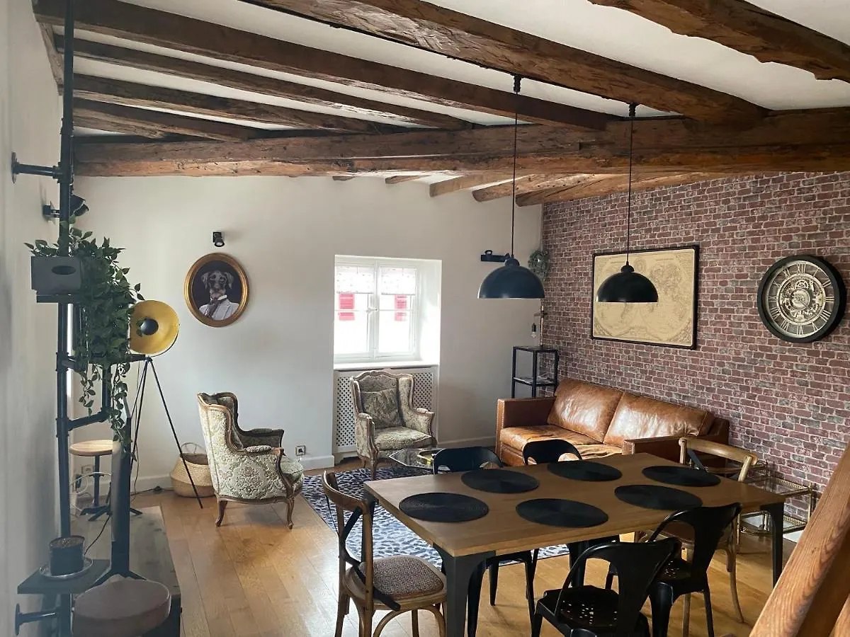 Apartment L'Albatros - Coeur De Vieille Ville & Bord De Canal Annecy France
